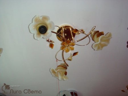 ������ 6511-3